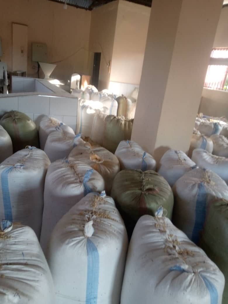 Sacks of maize stacked inside Fortune Farms&rsquo; storage shed.