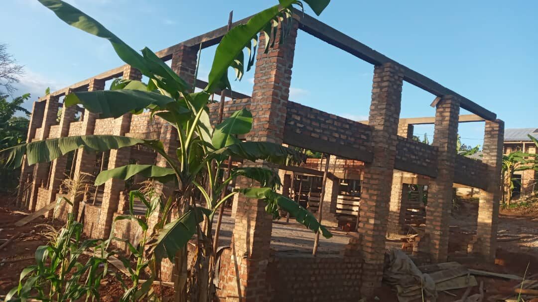Timber-framed farm sheds under construction