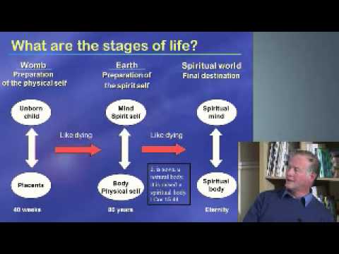 Principle of Creation Part 3.2